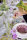 Runner da tavola Vårblommor 599 35x120 cm cotone - Ekelund