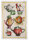 Tea towel from Tessitura Toscana Telerie; Model Teabreak Yellow; main colour multicolored in linen; Size 50x70 cm rectangular; Motif Food and drink; Pattern printed