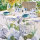 Servietten (4x Set) Jardin de Bretagne Bleu 53x53 cm Baumwolle-Leinen-Mix - Garnier-Thiebaut